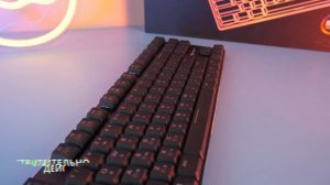 Моя ПЕРВАЯ МЕХАНИЧЕСКАЯ Клавиатура с низкими клавишами - Sharkoon Purewriter TKL RGB за 7000 Рублей