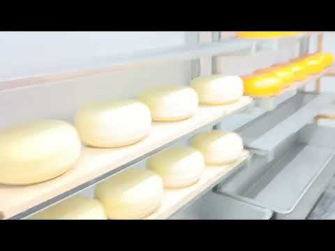 Горный Алтай  Модульный Молочный завод на 5000 литров молока - ММЗ 5000