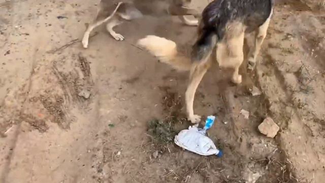 Мне нужно совсем чуть-чуть смотреть онлайн