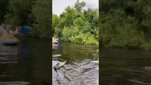 Сплав на каяках по реке Орель летом 2021 смотреть онлайн