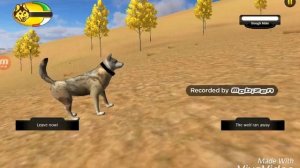 WolfQuest как завести пару и семью