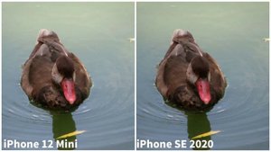iPhone 12 Mini vs iPhone SE 2020 | Camera Comparison | iPhone 12 Mini