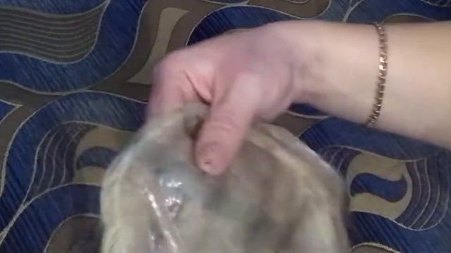 Система замещения волос ,основа при полной потере волос . смотреть онлайн