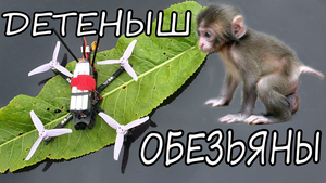 DarwinFPV Baby Ape  PRO - честный обзор!