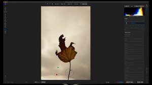 Remove Objects In ON1 Photo Raw - ON1 Tutorial
