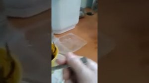 Калатея. Посадка  черенков калатеи.