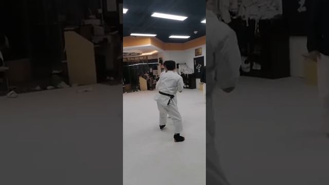 Kumite (sparring) for Kyu/Dan grading in Kyokushin Karate