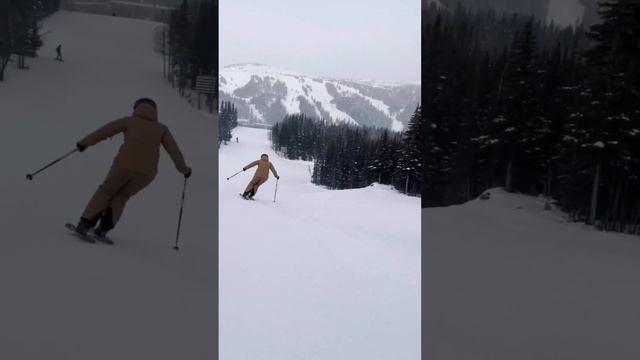 Banff Sunshine Village Resort Guide | SkiBig3