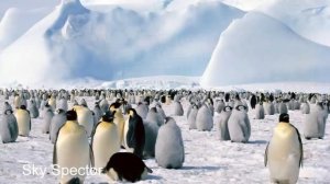 Аштавакра гита. Аудиокнигa NikOsho