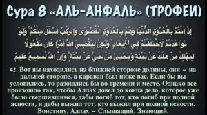 Сура 8 АЛЬ - АНФАЛЬ