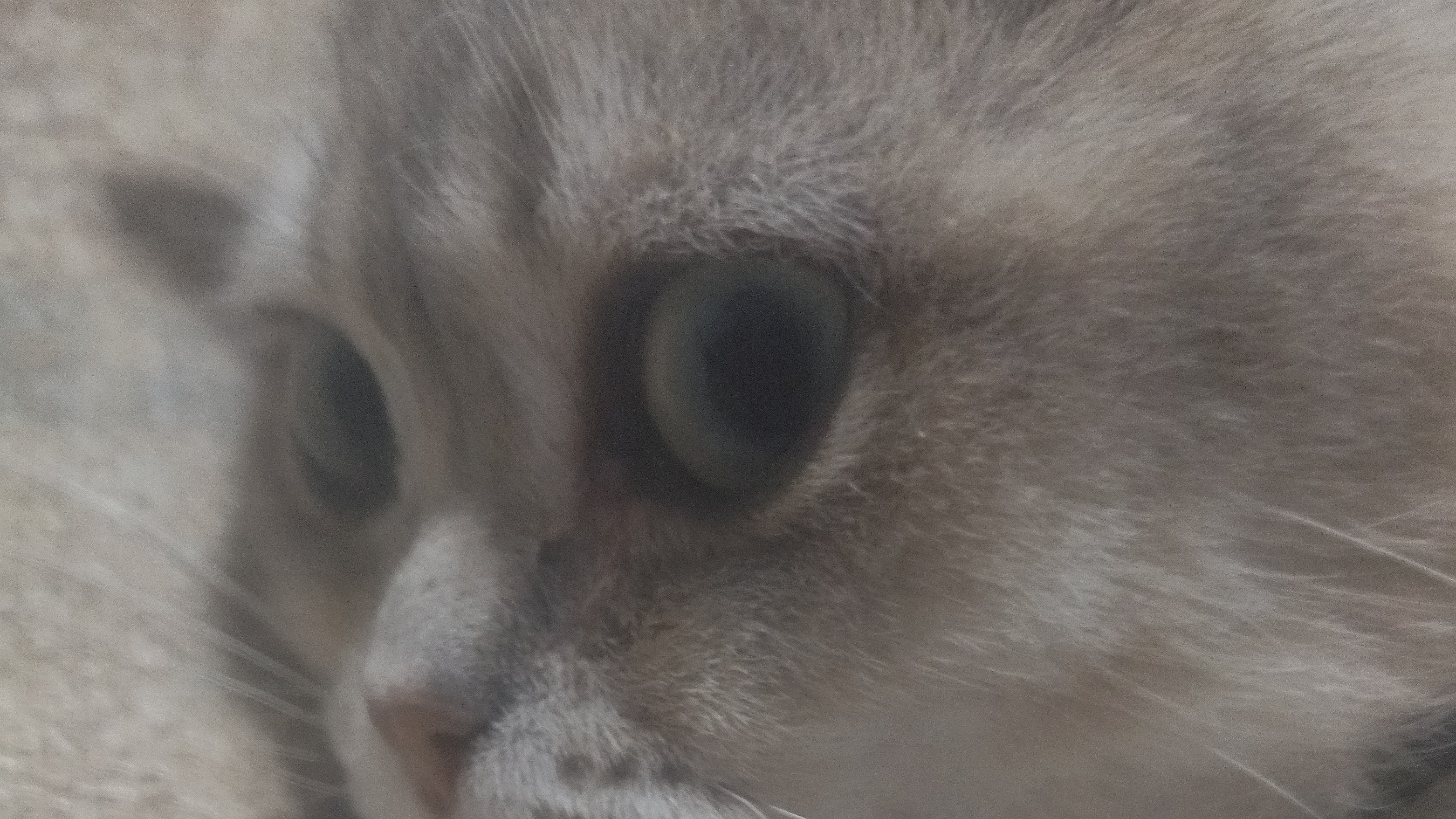 ои