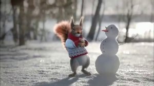 Новогодние белки Первого канала 2016-2018