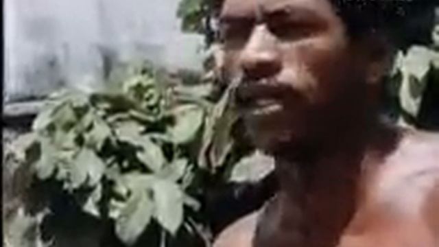 Luanda e Meu Boi смотреть онлайн