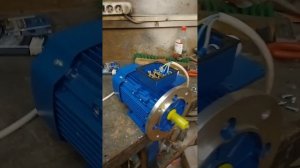 двигатель для гриндера