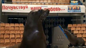 Василий Тимченко