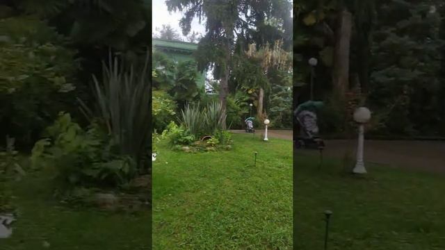 Дача Сталина в Сочи. Двор. смотреть онлайн