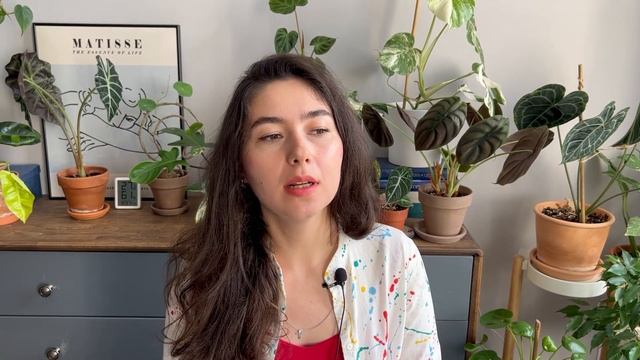 Как не допустить появление ВРЕДИТЕЛЕЙ на КОМНАТНЫХ РАСТЕНИЯХ смотреть онлайн