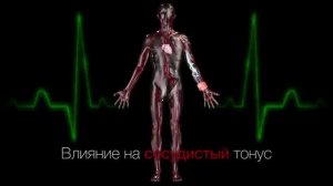 INFERUM NBP 050  version 3                                            argo-aktau.ru