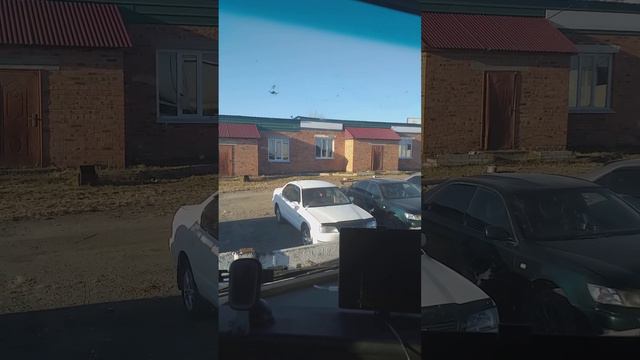 9 ноября 2023 г. смотреть онлайн