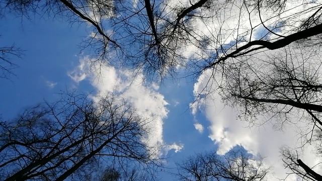 Небесное звучание глюкофона. Lidian scale смотреть онлайн