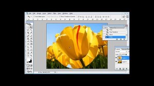 Как увеличить участок изображения в фотошопе