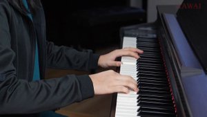 Blackpink Medley by Tan Hui Hang ft. Kawai CN301