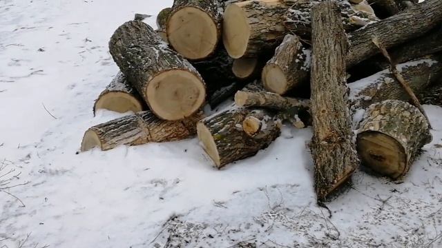 Обзор дома снаружи Жук точильщик ест дом смотреть онлайн