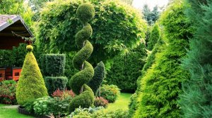 ?Оригинальные идеи для красивого сада / Ideas for a beautiful garden / A - Video