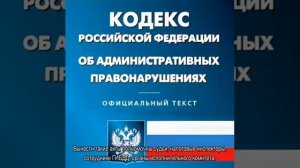 Определение по делу об административном правонарушении