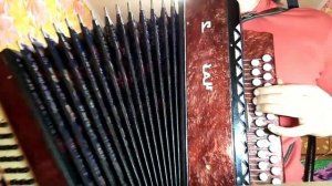 Бумер на гармошке Bumer accordeon