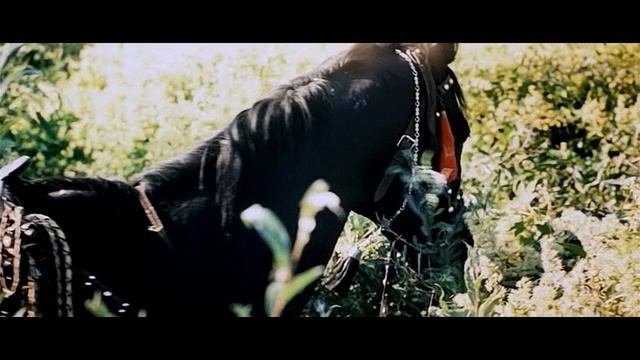 Солнышко