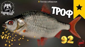 ПЛОТВА СИБИРСКАЯ  р. ТУНГУСКА ⭐ РУССКАЯ РЫБАЛКА 4 |  RUSSIAN FISHING 4@Z-B-G