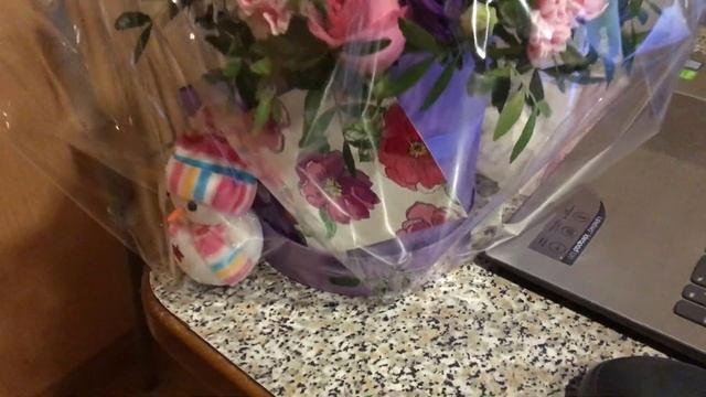 №558 ? РОБОТ ПЫЛЕСОС ? Салат МИМОЗА ? ЗАБРАЛИ ДАНЮ