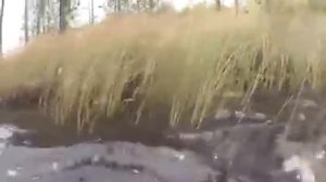 Курьёзы на рыбалке :}}