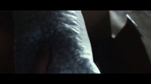 Честер ( Небро ) - Завязываю