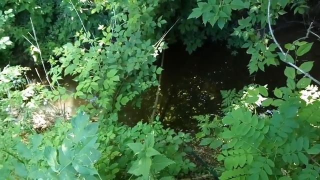 Капельный полив, идеальные условия
