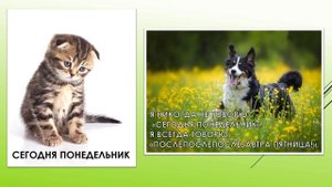 Неделя. Дни недели. РКИ