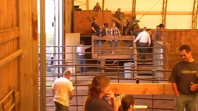 Shiloh  Dyna Jet Youth JPs 1020