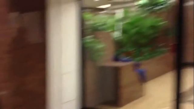 #egorberloga| Берлога дома смотреть онлайн