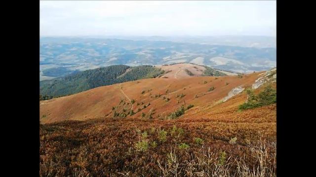 Калачевський Інтермецо-скерцандо з Української симфонії. Розповідає Ірина Пашинська смотреть онлайн