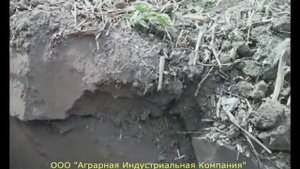 Сравнение дисковой бороны и Salford RTS I-1100 в ООО "Дружба Нова"