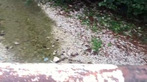 Округ Геленджик, Село Прасковеевка , Обзор