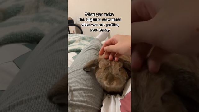 It hurts more than loosing your best friend? смотреть онлайн