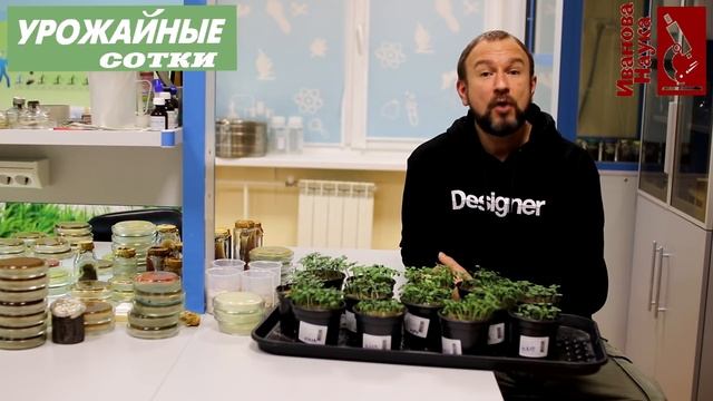 Такая ПОДСВЕТКА рассады, особенно фитолампами, может только навредить! Не переусердствуйте! смотреть онлайн