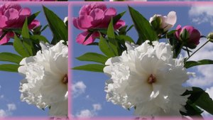 Спасибо, Господи, за все