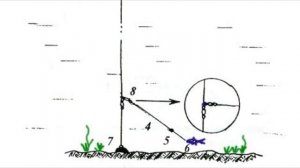 Хитрый рыбацкий способ, как просто поймать щуку без удочки!