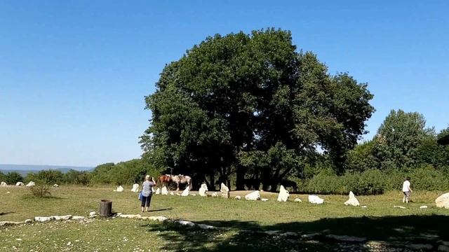 Канатная дорога и прогулка по лесу, Адыгея, 19 08 2020 г смотреть онлайн