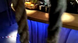 Изготовление барных стоек