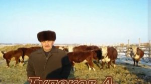 Село Береговое клип