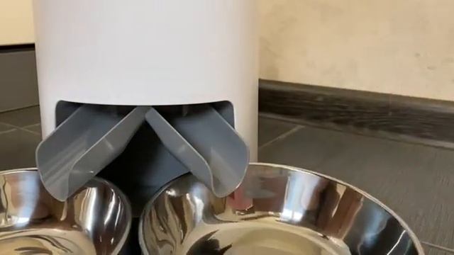 Видео инструкция по настройке кормушки Honeyguaridan S36 MINI смотреть онлайн